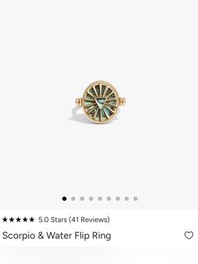 Awe Inspired Scorpio & Water Flip Ring - Sz 9